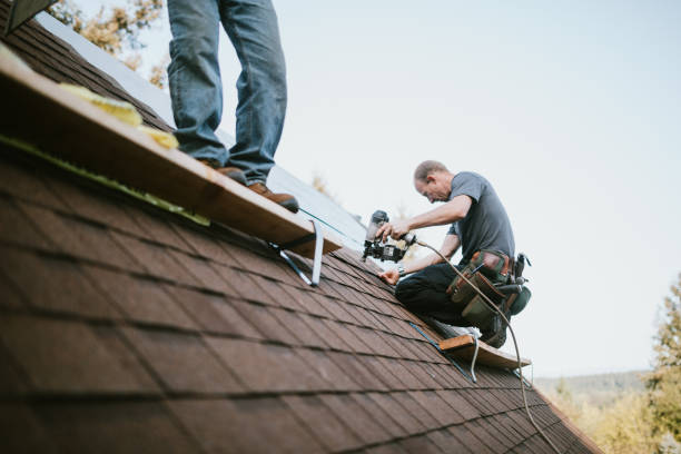 Best Residential Roof Replacement  in Braddock Hills, PA